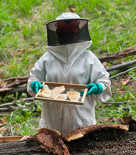 Serviços de Apicultura e Controle de Zoonoses